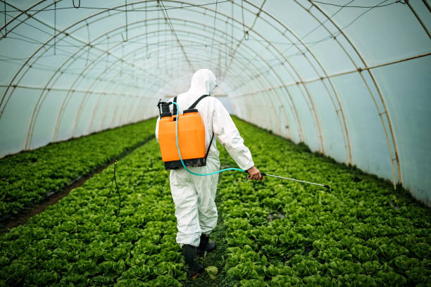 Best Best Pest Control Companies  in Scotia, NY