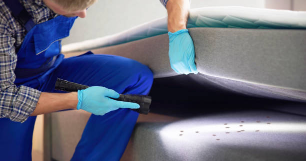 Best Bed Bug Extermination  in Scotia, NY